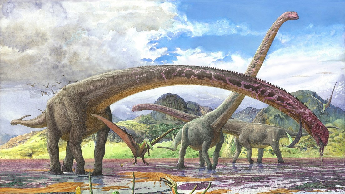 Descubren el fósil de dinosaurio con el cuello más largo conocido