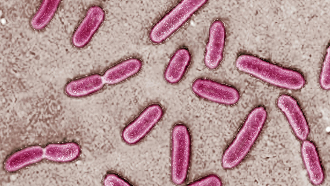 Gotas oculares contaminadas causan pérdida de visión y varias muertes en EE.UU.