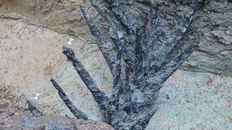 Hallan restos de fortificaciones que usó Julio César durante su campaña en las Galias