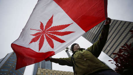 Empresa biotecnológica obtiene licencia para producir y vender cocaína y heroína en Canadá