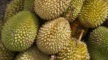 Un avión regresa al aeropuerto del que partió por un olor insoportable