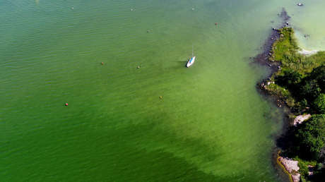 Advierten sobre el 'fosfogedón' y sus consecuencias para el planeta