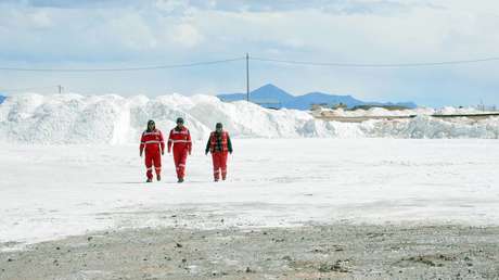 Ministro boliviano: Las palabras de la jefa del Comando Sur de EE.UU. muestran "poco respeto" a la región