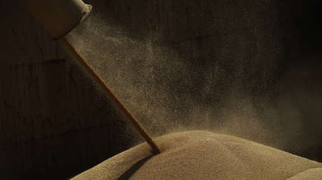 Publican el consentimiento de Rusia para extender el acuerdo de granos por 60 días