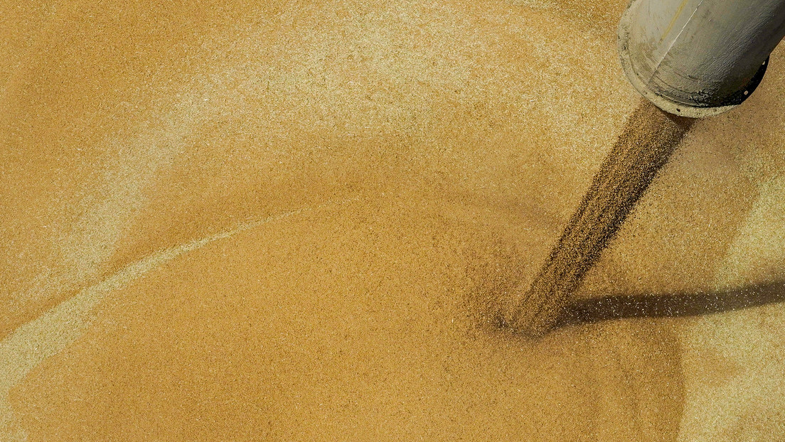 El grano ucraniano podría socavar la buena voluntad de la UE hacia Kiev