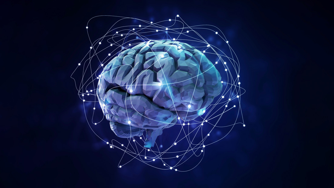 CEO de Google no "entiende completamente" cómo funciona su nuevo chatbot, que aprendió un idioma por su propia cuenta