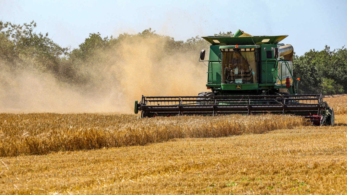 Lavrov dice que el acuerdo de transporte de granos beneficia los intereses comerciales en detrimento del tercer mundo