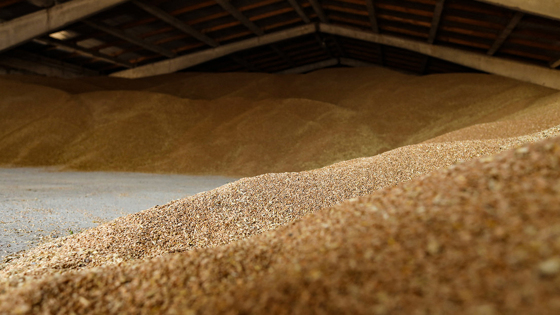 ¿Por qué duda Rusia en prorrogar el acuerdo de granos?