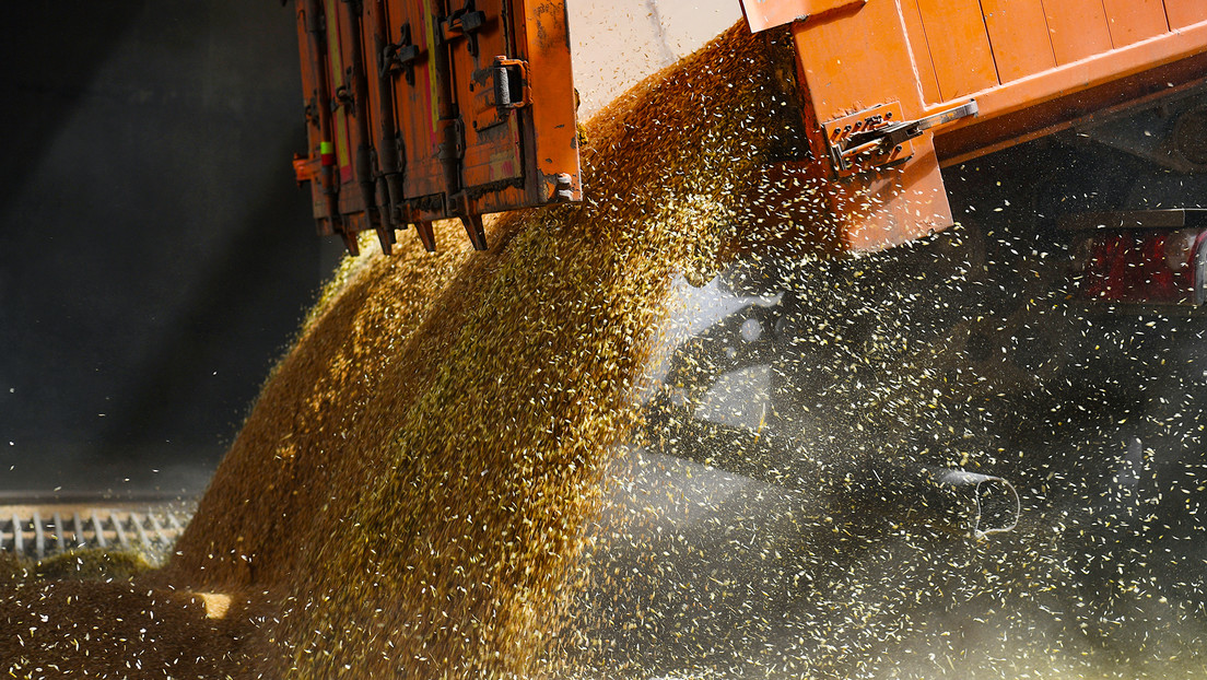 Canciller turco sobre el acuerdo de granos: "Lo que se prometió a Rusia no se materializó"