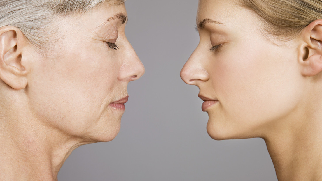 Genetistas logran ralentizar el envejecimiento mediante ingeniería celular