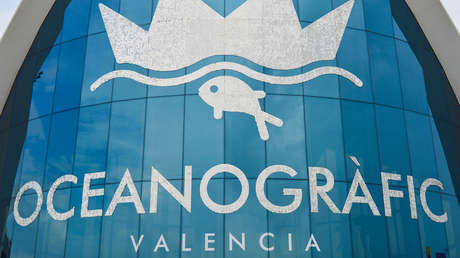 Más de 40 comensales se intoxican durante la grabación del programa 'MasterChef' en España