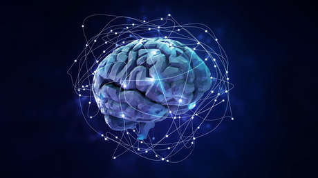 CEO de Google no "entiende completamente" cómo funciona su nuevo chatbot, que aprendió un idioma por su propia cuenta