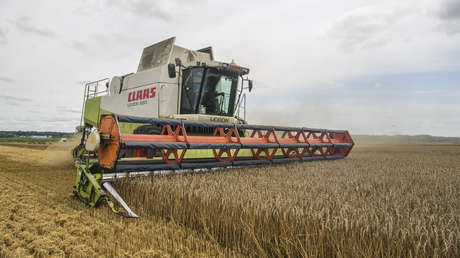 Efecto dominó en la suspensión por la UE de la importación de grano ucraniano: ¿amenaza al suministro mundial de alimentos?