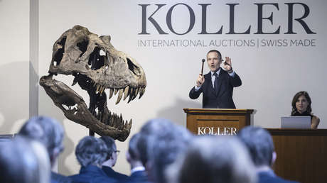 Subastan en Suiza un esqueleto de 'T. rex' por 6 millones de dólares