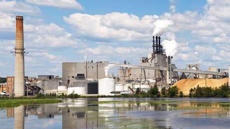 "El mayor brote de la historia de Norteamérica": Una enfermedad causada por un hongo deja un muerto y casi 100 contagiados en EE.UU.