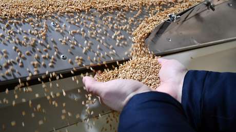 Turquía aboga por extender el acuerdo de granos mientras Guterres remite una carta a Putin