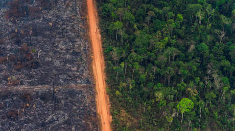 Brasil quemó en casi cuatro décadas un área equivalente a Colombia y Chile juntos