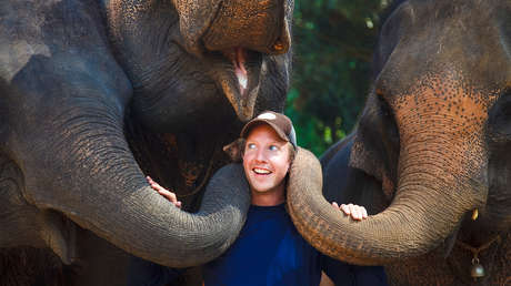 Estudio revela que el genoma de los humanos se conserva en el de otros mamíferos