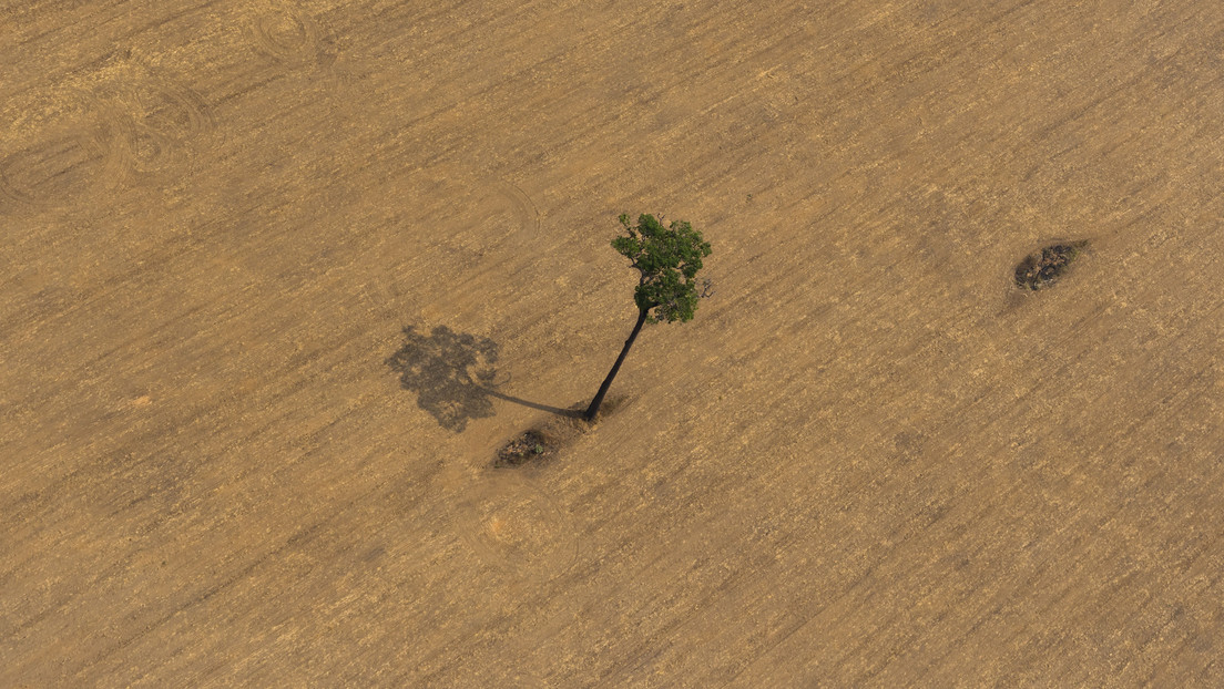 Tras las huellas del ecologismo: las guerras sucias por las energías limpias