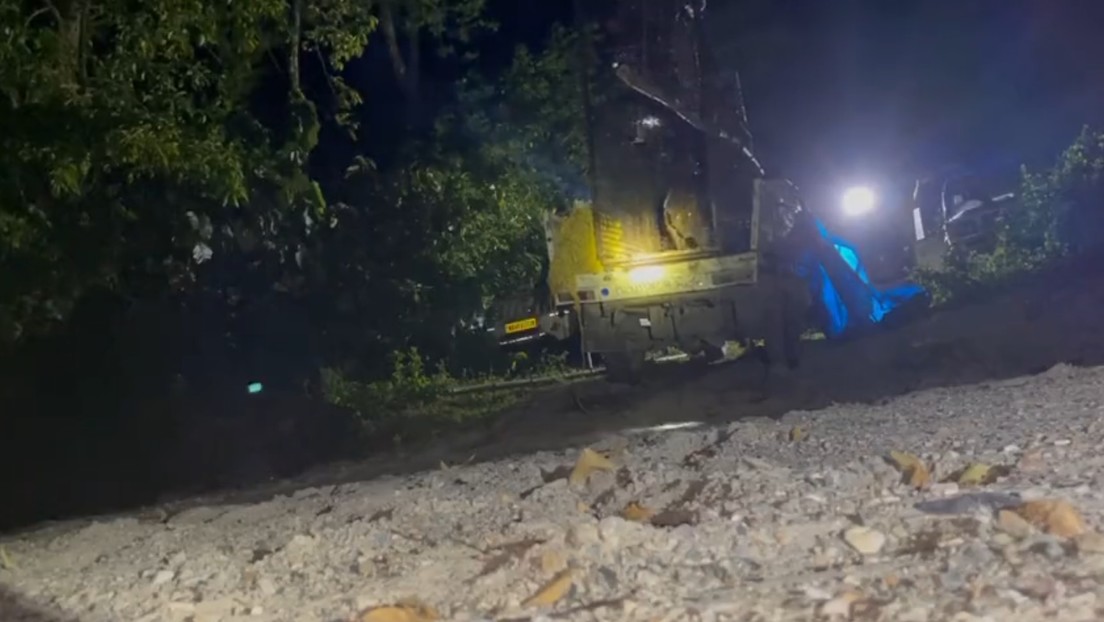 VIDEO: Momento en el que un leopardo rescatado vuelve a su hábitat natural