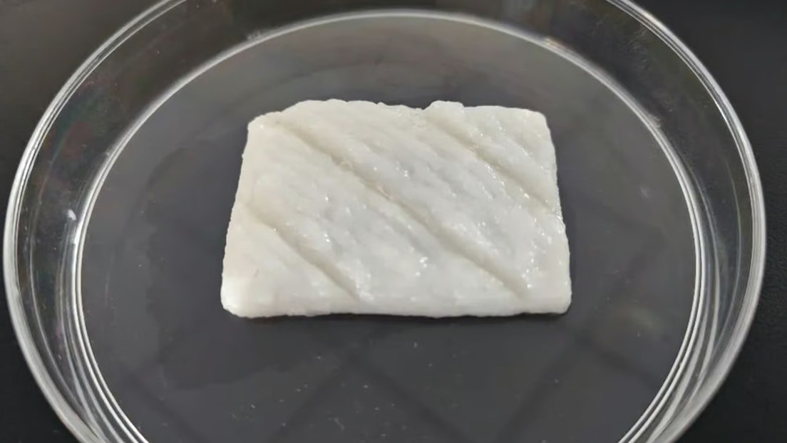Científicos chinos cultivan los primeros filetes de pescado impresos en 3D