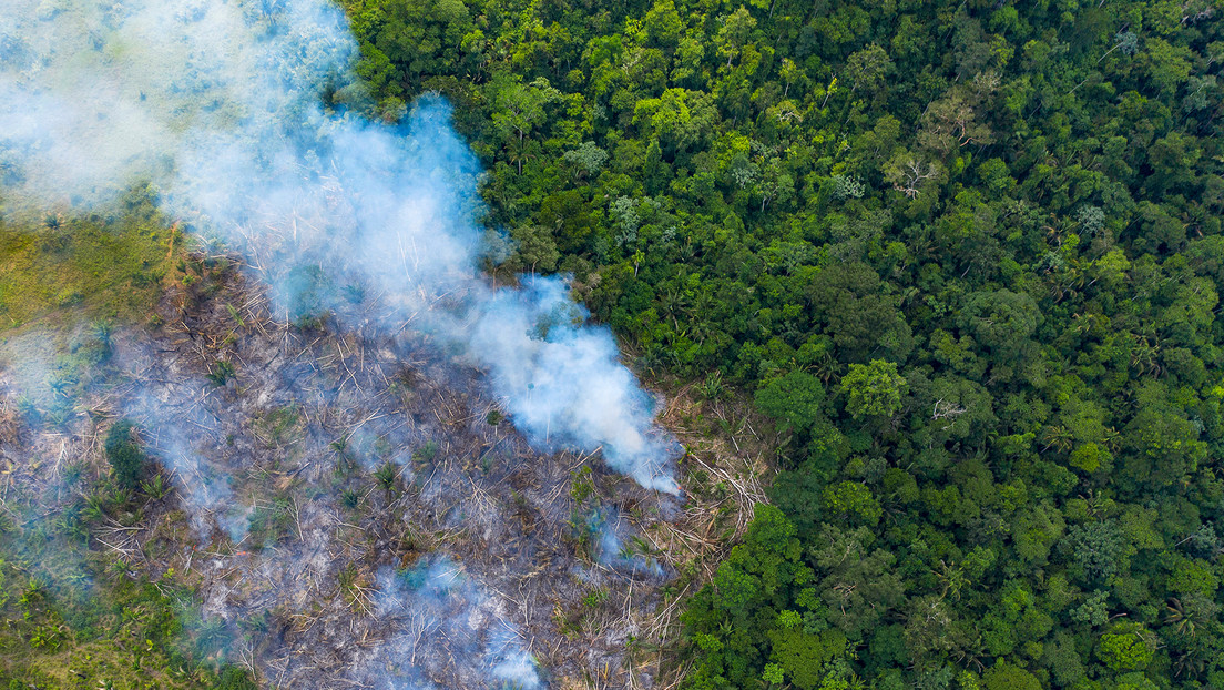 Brasil dice que no aceptará que la UE use el medio ambiente como "pretexto" para el proteccionismo