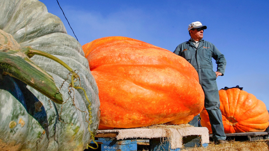 El FMI reclama a EE.UU. una solución al techo de deuda "antes de que el carruaje se convierta en una calabaza"