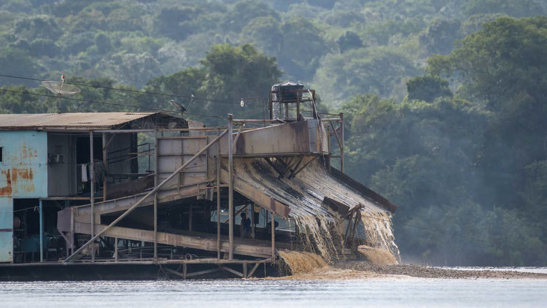 El pescado consumido en seis estados de la Amazonía brasileña tiene peligrosos niveles de mercurio