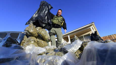 Drones, muñecos, animales y submarinos: la incesante "creatividad" del narco para traficar drogas