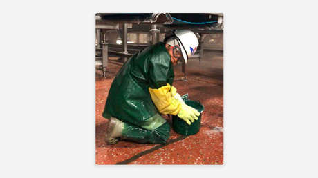 Revelan imágenes de niños trabajando ilegalmente en un matadero en EE.UU.