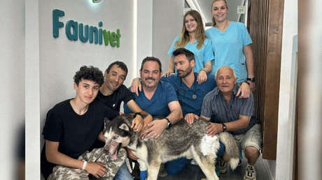 Un video en TikTok ayuda a salvar a un perro que nadie quería operar