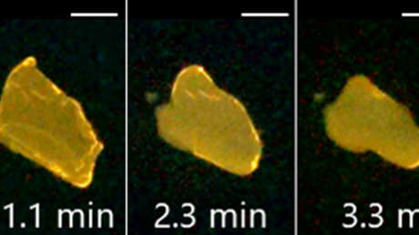 Este extraño cristal se derrite y cambia de color cuando se expone a la luz