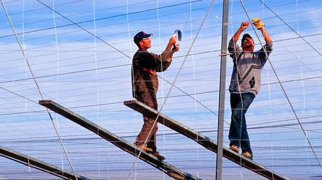 España busca inmigrantes para cubrir vacantes que nadie quiere en el país con más paro de Europa
