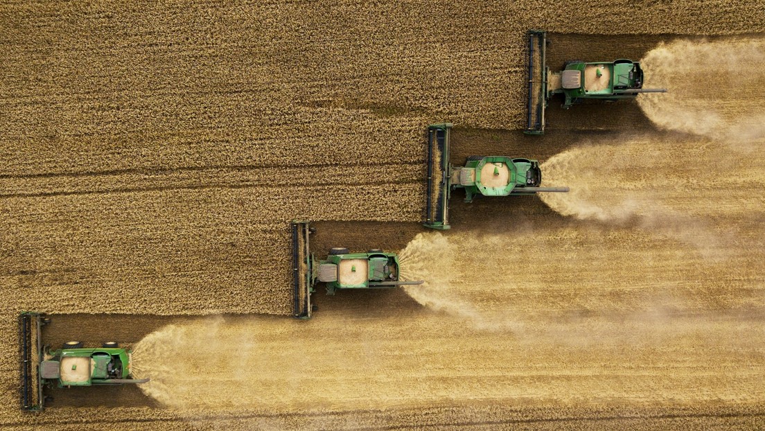 Rusia exporta el 20% de los suministros globales de trigo