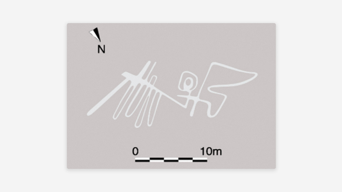 La IA ayuda a descubrir cuatro nuevos geoglifos en las Líneas de Nazca en Perú