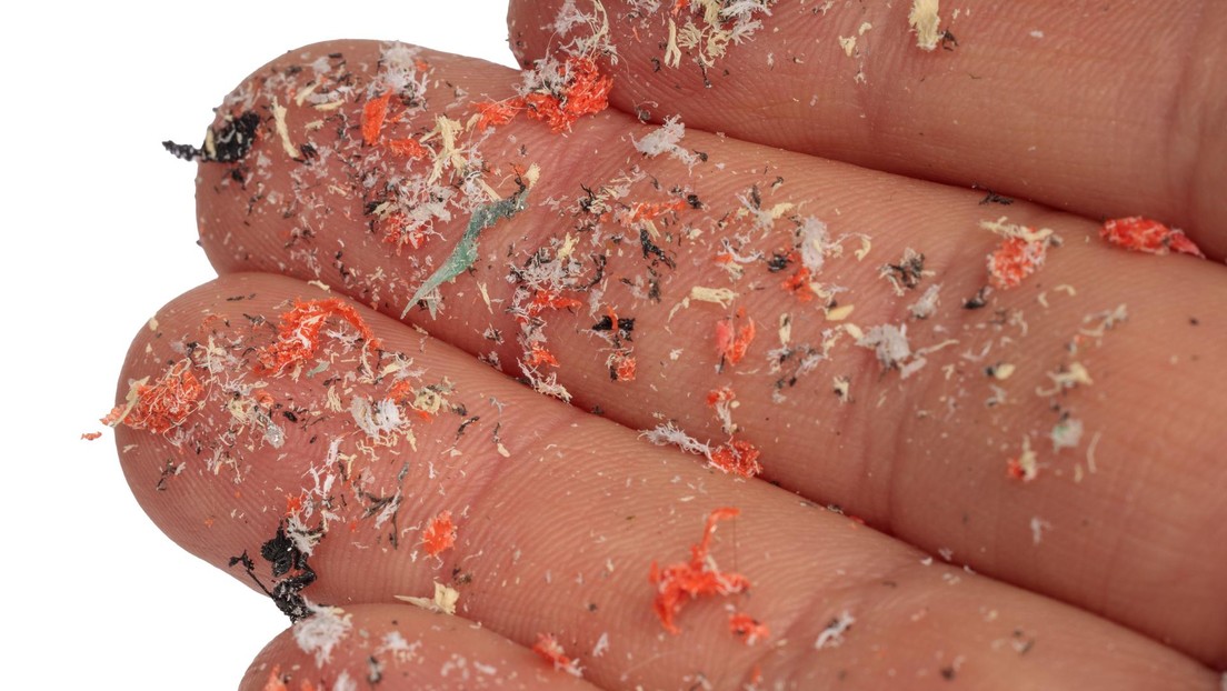 ¿A dónde va el microplástico que inhalamos?: descubren cómo este compuesto se acumula en el organismo