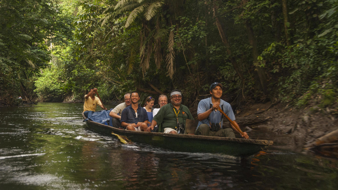 Yasuní ITT: Ecuador decidirá si frena la explotación petrolera en su "santuario de biodiversidad"