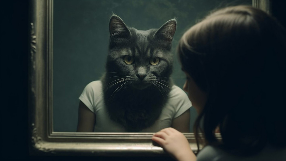 Investigarán un colegio británico por un escándalo con una niña que se identifica como gata