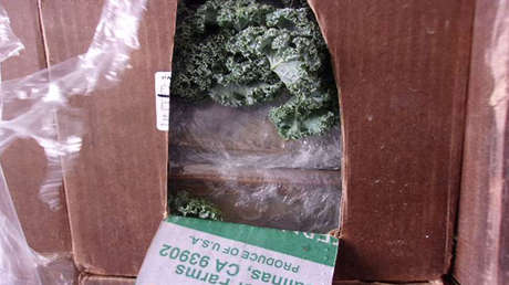 Confiscadas más de 2,6 toneladas de metanfetamina en EE.UU.