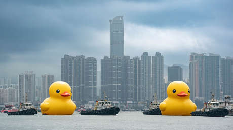 Un pato gigante de una exhibición en Hong Kong se desinfla frente a decenas de espectadores (VIDEO)