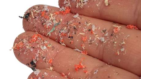 ¿A dónde va el microplástico que inhalamos?: descubren cómo este compuesto se acumula en el organismo