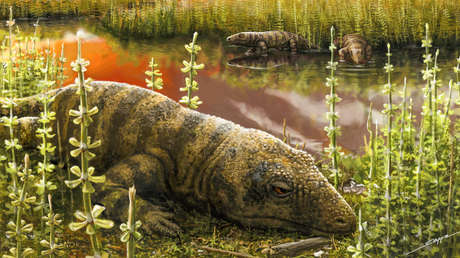 Hallan en España el esqueleto casi completo de una nueva especie de reptil de hace 270 millones de años