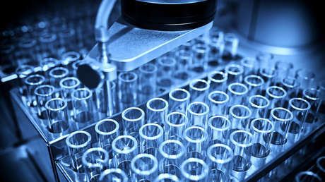 Un limpiador destruye una investigación de 20 años al apagar un congelador de laboratorio para parar su "alarma molesta"