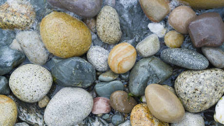 'Chao' de rocas: El bizarro plato chino que se apodera de las redes sociales (VIDEO)