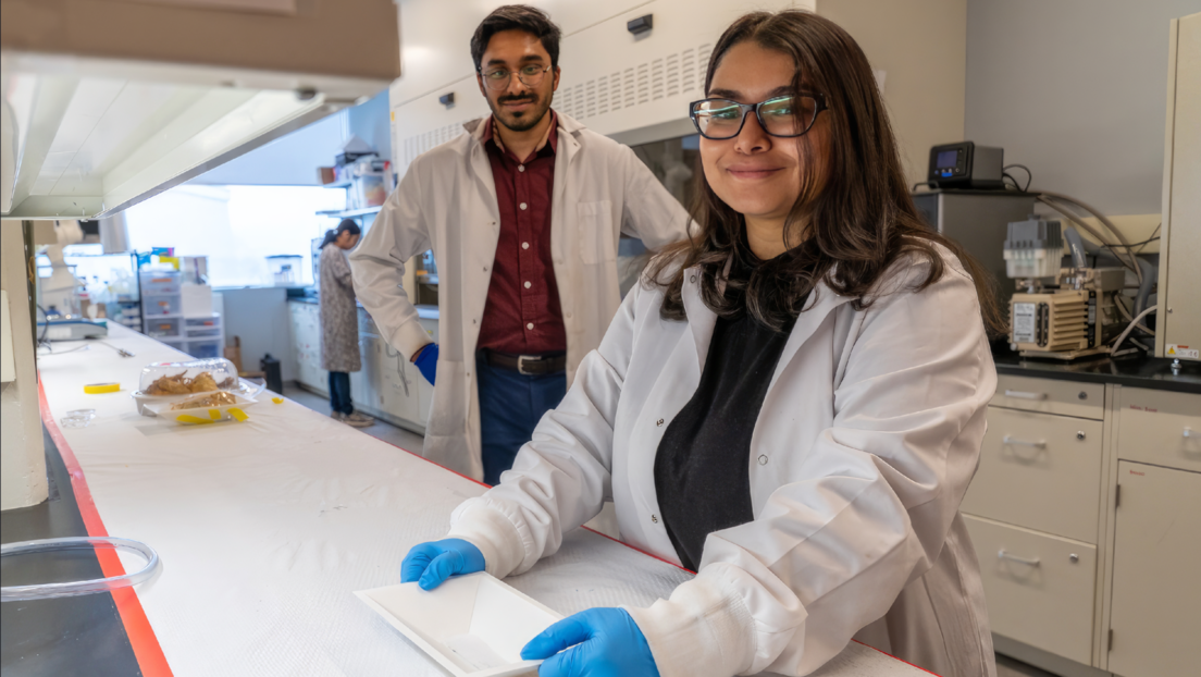 Desarrollan un empaque de alimentos que advierte sobre la presencia de patógenos antes de abrirlo
