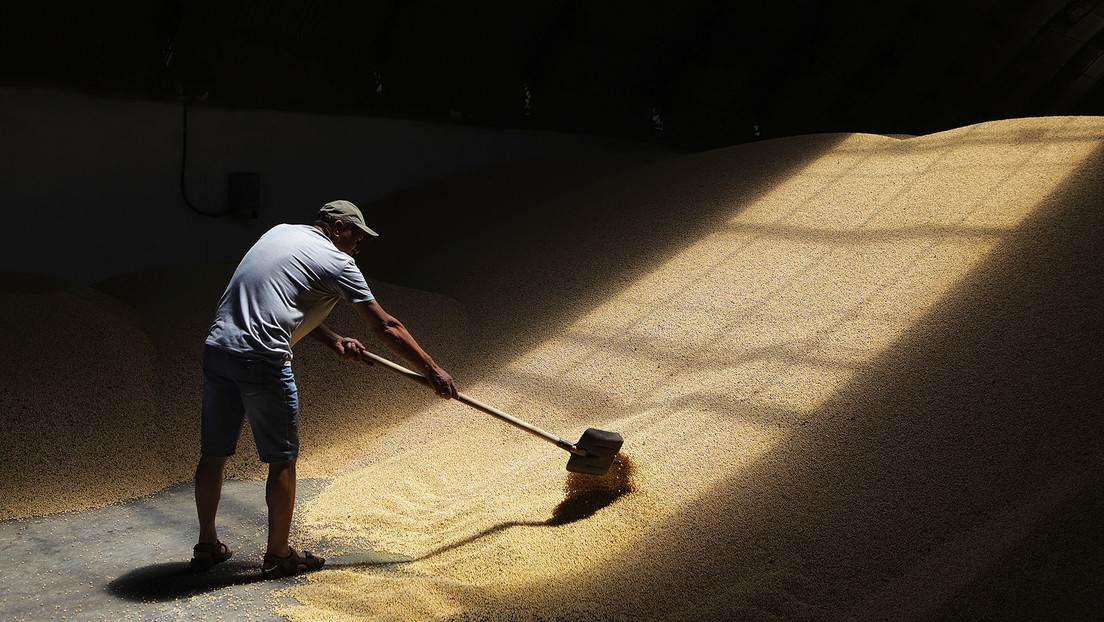 Rusia establece un récord de exportaciones de grano en la temporada 2022-2023