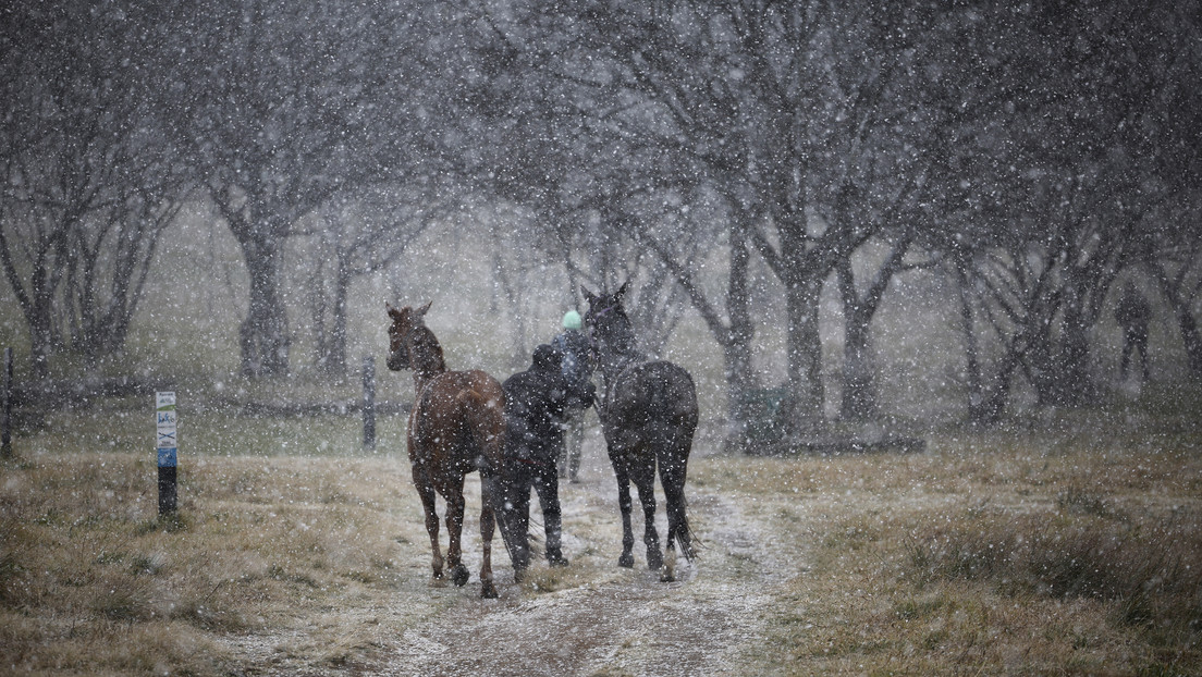 La ciudad más grande de Sudáfrica registra su primera nevada en más de 10 años (VIDEOS)