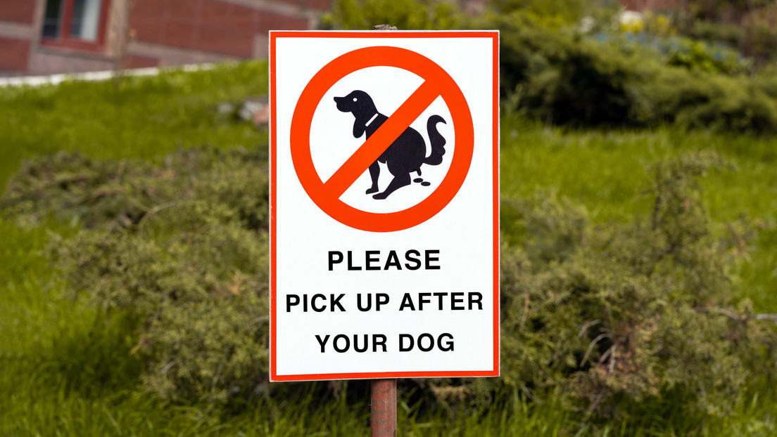 Implementan pruebas de ADN para sancionar los excrementos de perro en las calles de una ciudad de Francia