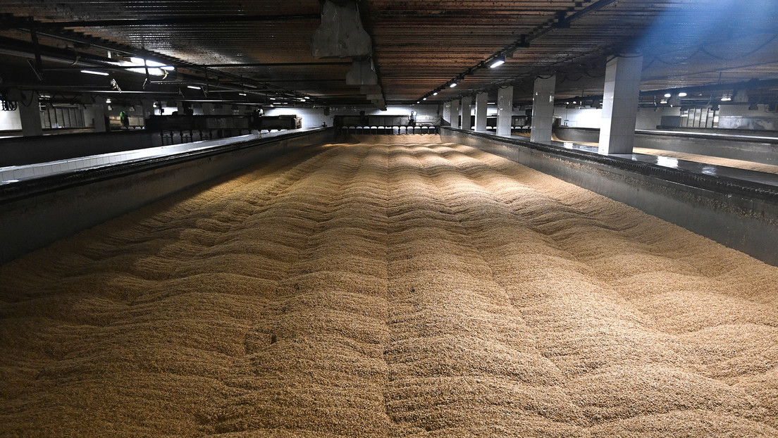 El Kremlin comenta la propuesta de Kiev de seguir con la exportación de granos sin Rusia