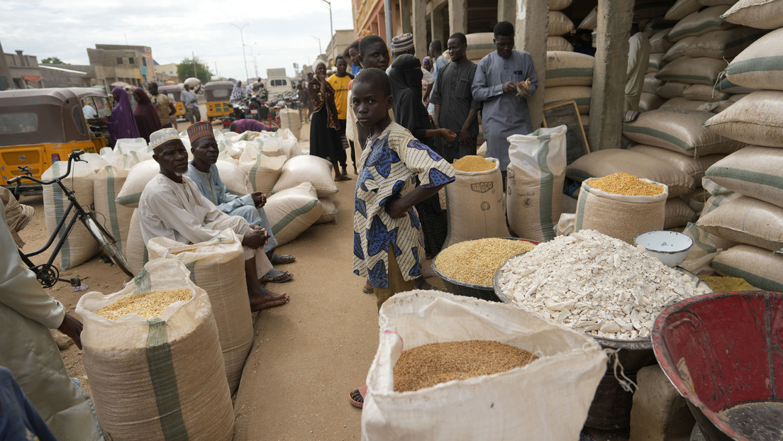 Ministro de Defensa italiano reconoce que el 95 % del grano ucraniano no llega a África